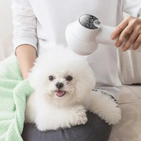 2 in 1 Smart Dog Hair Dryer Avento-store.com