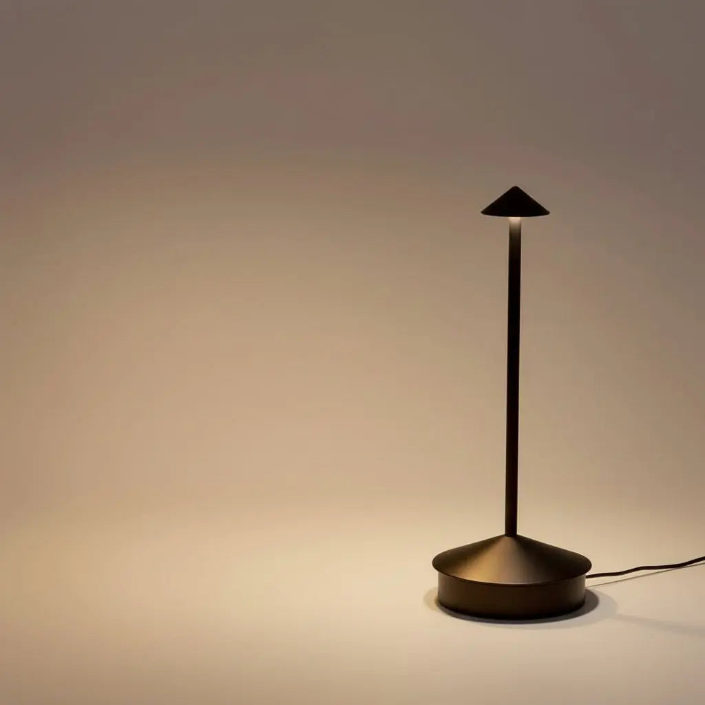 Rechargeable LED Desk Lamp with Touch Controls and 3 Color Modes, USB Charging Avento Goods