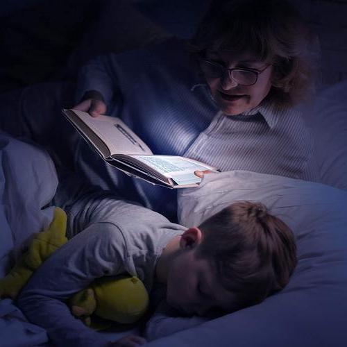 Book Light with Slim Bookmark Panel and Adjustable LED Brightness, USB Rechargeable