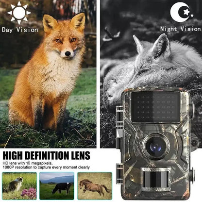 Trail Camera with No Glow Infrared and 1080P HD Video, 16MP Photos Avento Goods
