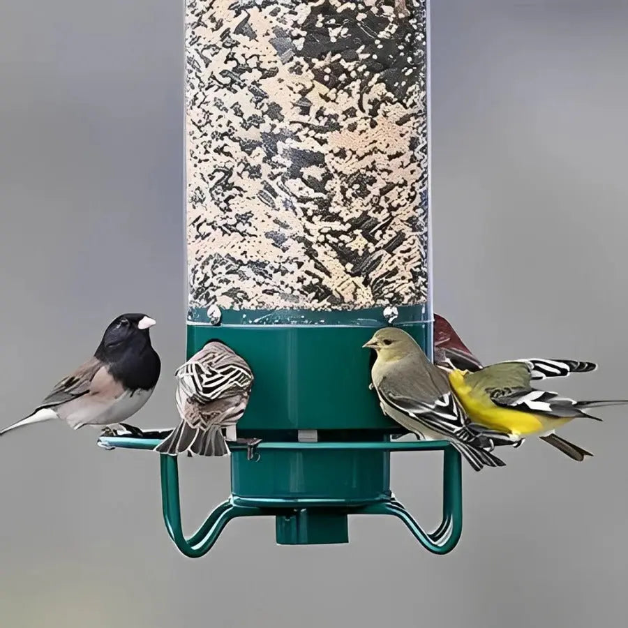 Squirrel Resistant Bird Feeder with Spinning Perch and 5 lb Capacity Avento Goods