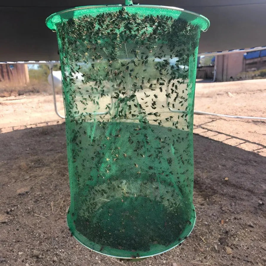 Reusable Fly Trap with Odorless Bait and Expandable Capture Chamber, Foldable Avento Goods