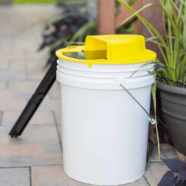 Humane Mouse Trap with Automatic Reset and Multi-Catch Design, Fits 5-Gallon Buckets Avento Goods