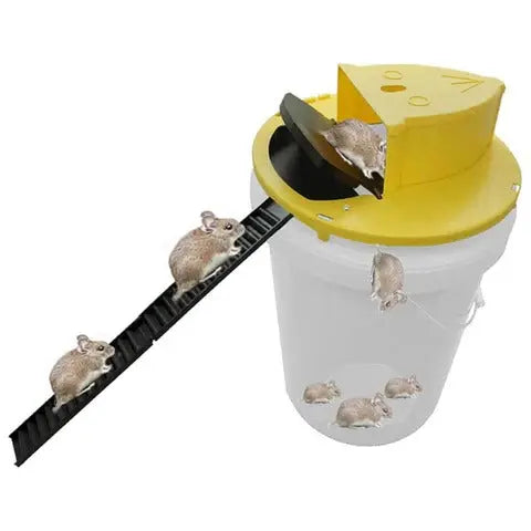 Humane Mouse Trap with Automatic Reset and Multi-Catch Design, Fits 5-Gallon Buckets Avento Goods