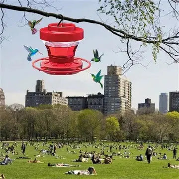 Hummingbird Feeder with Ant Moat and Eight Feeding Ports, 16 oz Clear Reservoir Avento Goods