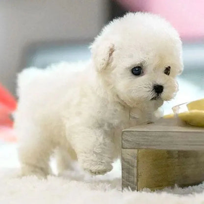 Interactive Robotic Puppy with Voice and Touch Sensors, Realistic Movements, Plush Fur Avento Goods