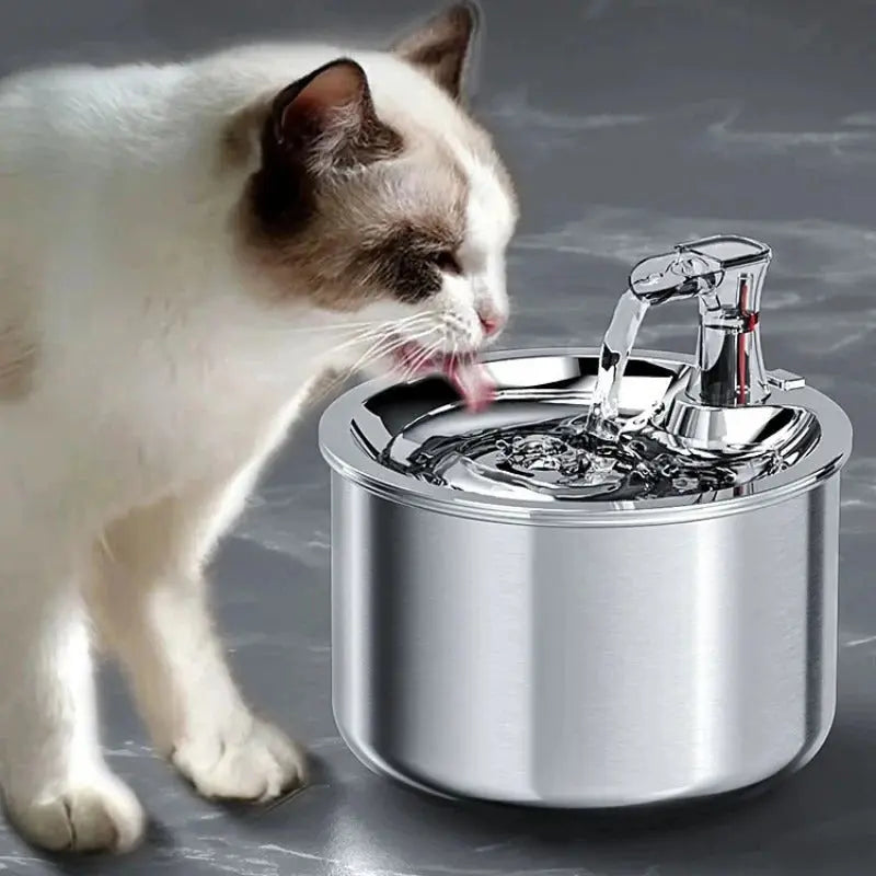 Cat Water Fountain with Stainless Steel Bowl and Motion Sensor, 2.1 Quart Capacity Avento Goods