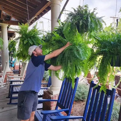 Artificial Boston Fern with UV-Stable Leaves and Flexible Fronds for Porch, Balcony Avento Goods