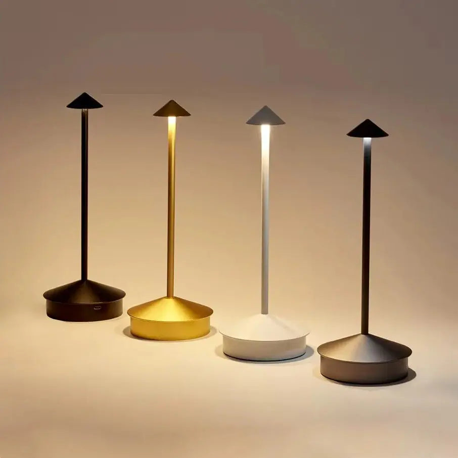 Rechargeable LED Desk Lamp with Touch Controls and 3 Color Modes, USB Charging Avento Goods
