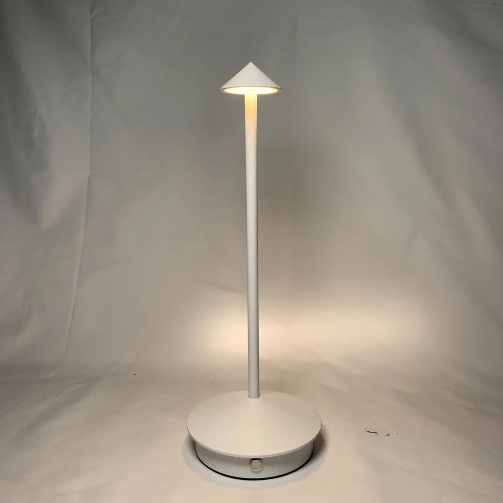 Rechargeable LED Desk Lamp with Touch Controls and 3 Color Modes, USB Charging Avento Goods
