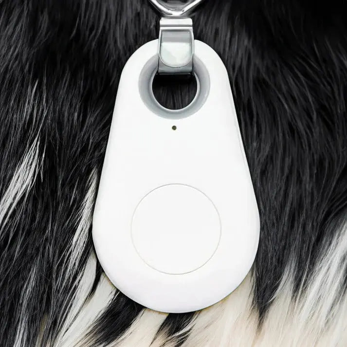 Bluetooth Pet Tracker with Geofencing and Proximity Alert, Compact Waterproof Design Avento Goods