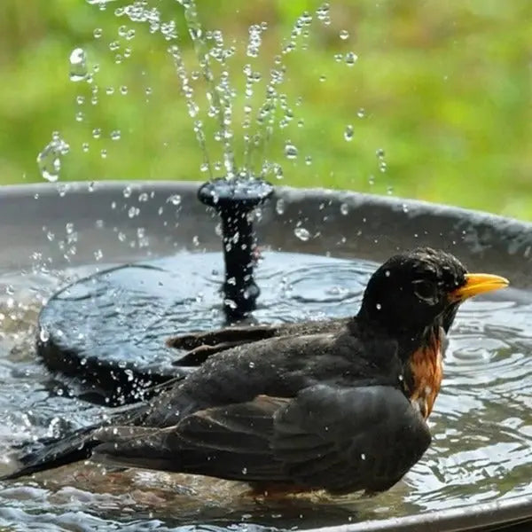 Solar Garden Fountain with Integrated Solar Panel and Adjustable Spray, Floating 7-Inch Avento Goods