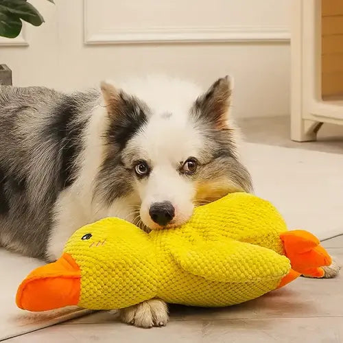 Plush Duck Dog Toy with Deep Quack and Reinforced Stitching, Machine Washable Avento Goods