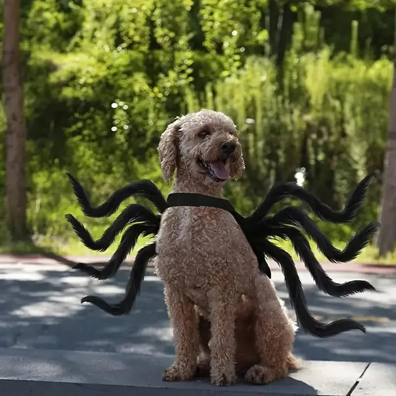 Spider Costume for Pets with Realistic 3D Legs and Adjustable Fit, Soft Breathable Fabric Avento Goods