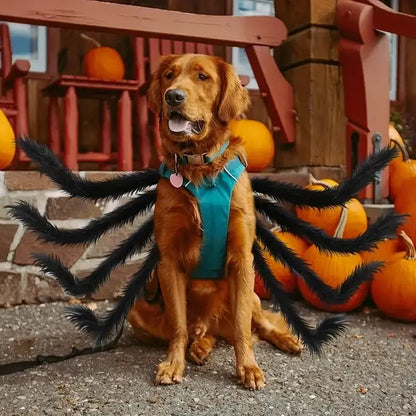 Spider Costume for Pets with Realistic 3D Legs and Adjustable Fit, Soft Breathable Fabric Avento Goods