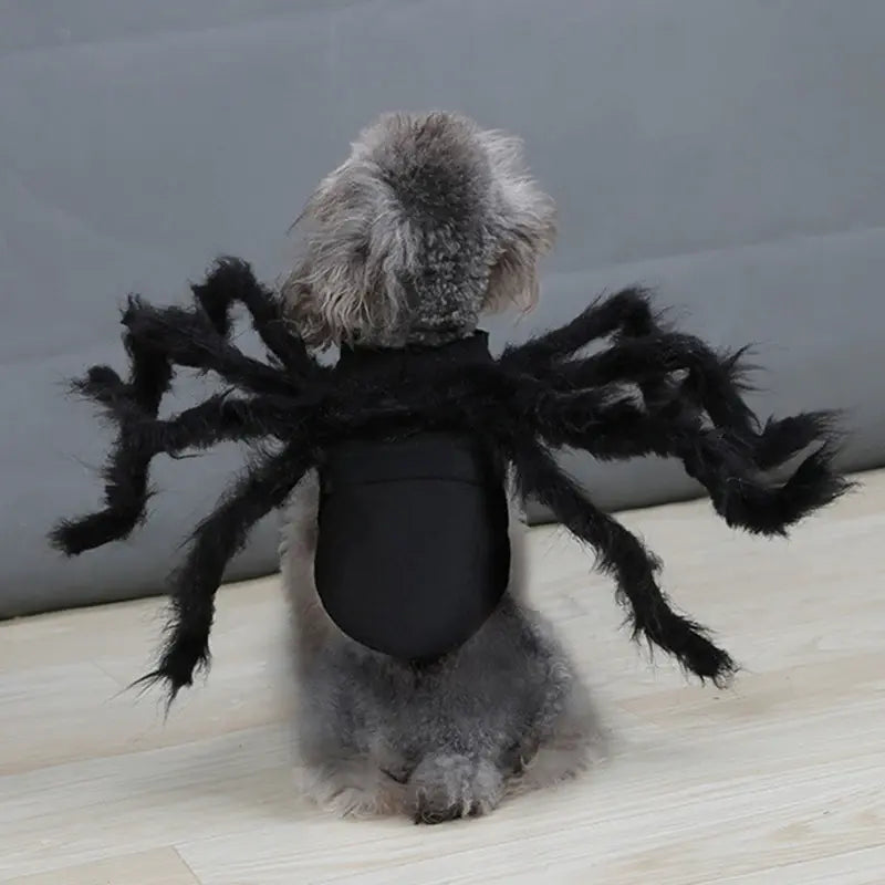 Spider Costume for Pets with Realistic 3D Legs and Adjustable Fit, Soft Breathable Fabric Avento Goods
