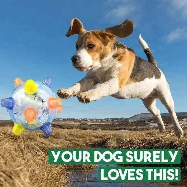 Interactive Dog Ball with Random Jump Motion and LED Lights, Rechargeable 13cm Diameter Avento Goods