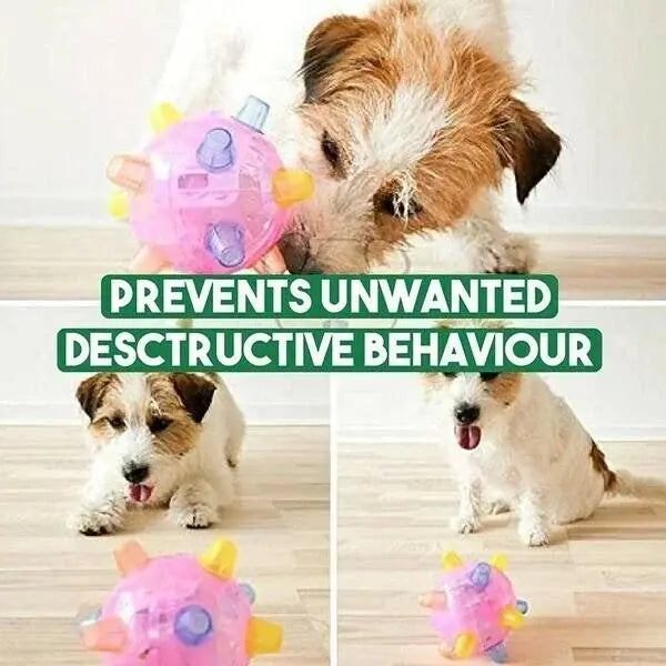 Interactive Dog Ball with Random Jump Motion and LED Lights, Rechargeable 13cm Diameter Avento Goods