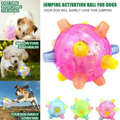 Interactive Dog Ball with Random Jump Motion and LED Lights, Rechargeable 13cm Diameter Avento Goods